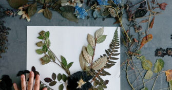Pressed Flowers